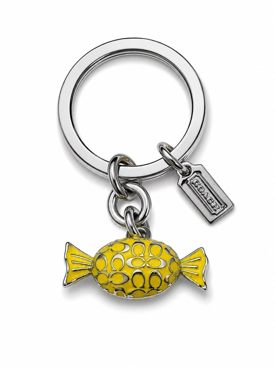 Coach Accessories - Coach Y2K Keychain/Bag Charm-NWOT
